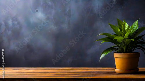 business concept, Empty wooden table, plant with pot, copy space