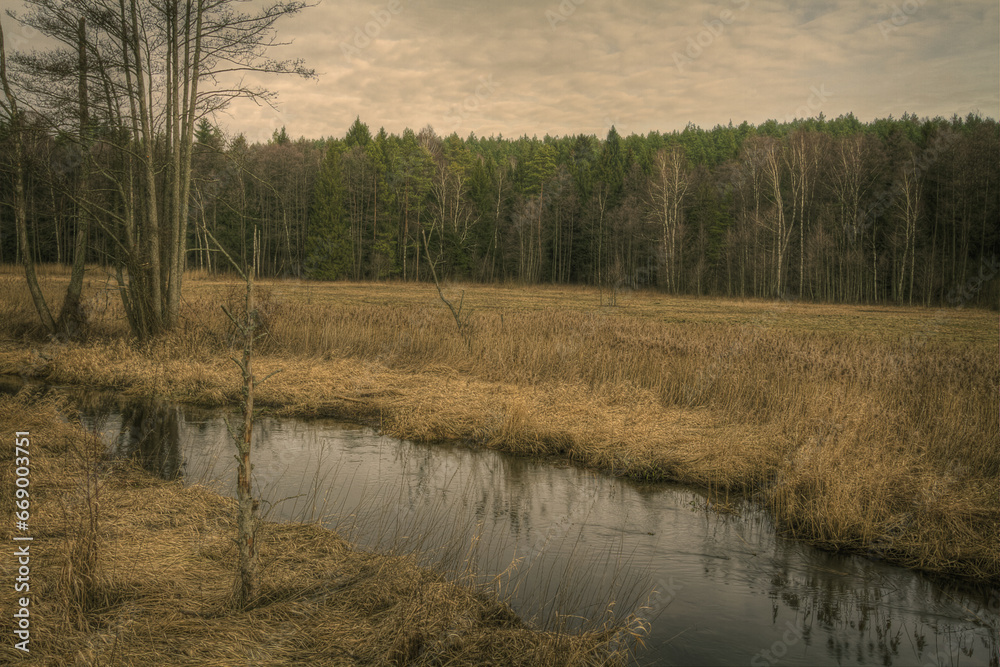 Autumn landscape misty foggy day in Knyszyn Primeval Forest, Poland Europe trees and meadows, river and swamps