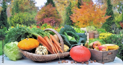 seasonal fresh vegetables in a basket on a table a beautiful colorful garden