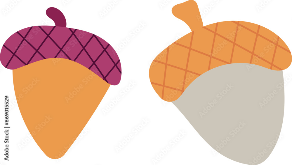 Vector of the little acorns Vector of the little acorns