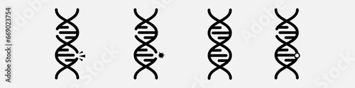DNA vector
