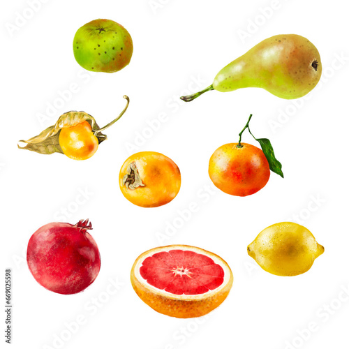 illustration de fruits de saison