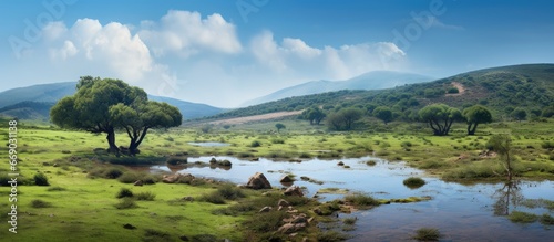 Spanish marshland in Casares de Arbas photo