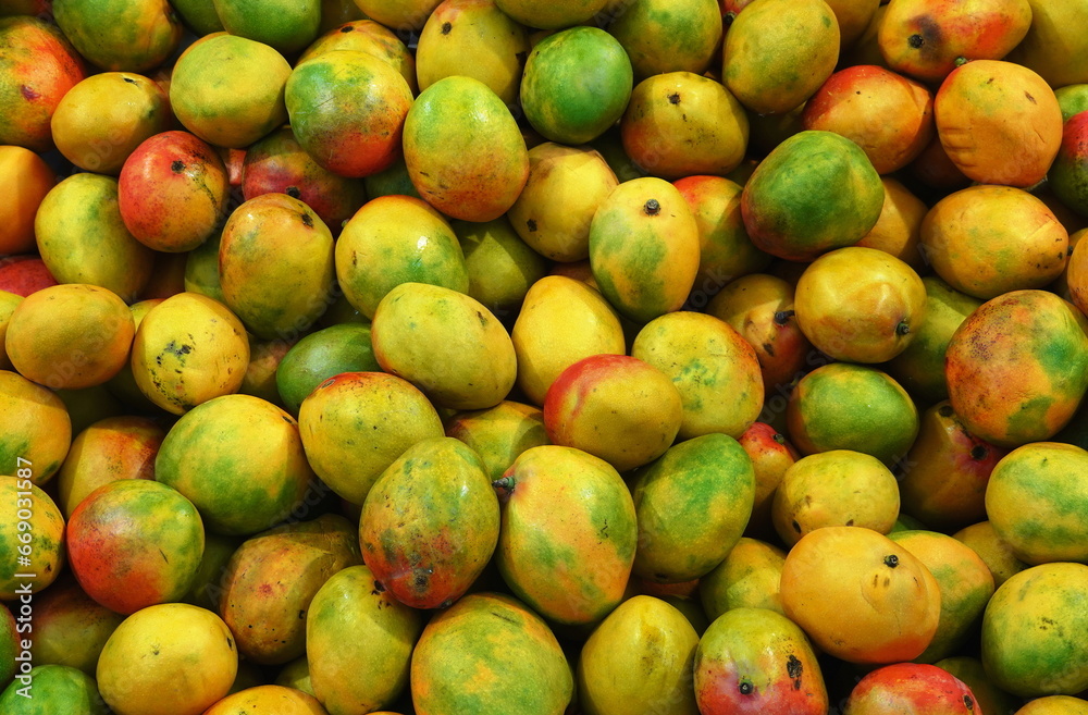 Mango Background. Ripe Fruit Backdrop. Tropical Delicious food Mango Background. Ripe Fruit Backdrop. Tropical Delicious food