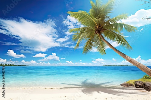 A Calm Beach with Palm Tree - Swaying in the Breeze - Serene Coastal Image