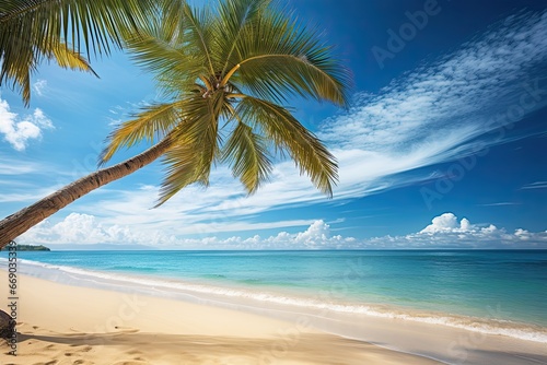 Beach Vacation  Stunning View of Palm Tree on Tropical Beach - Unwind in Paradise