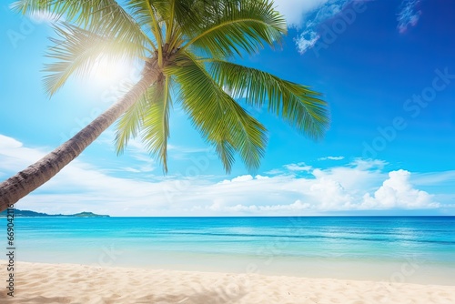 Vacation Travel Holiday Beach Banner Image: Palm Tree on Tropical Beach with Blue Sky
