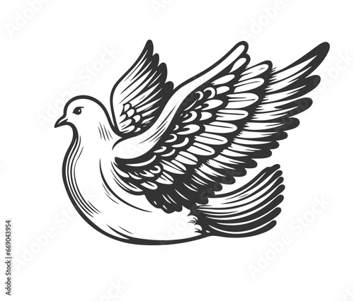 Fototapeta Naklejka Na Ścianę i Meble -  Pigeon Icon. Line Art Style Design Isolated On White Background.