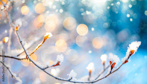 Wintermotiv - Zweige vor einem unscharfen Hintergrund mit Schneetreiben und Frost