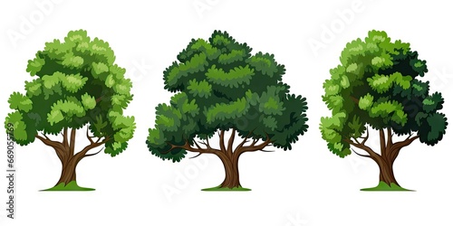 Nature symphony in green. Illustrative delights of tree on white background isolated. Forests and woodlands. Verdant collection for eco design showcase
