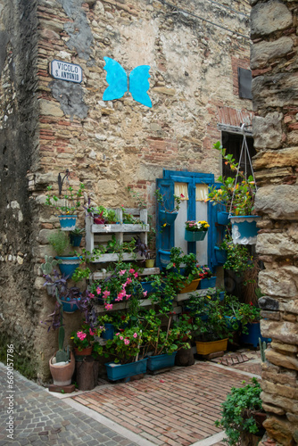 Scenic view of flower pots in a cobbled alley © Toms