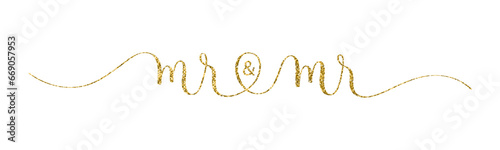 MR & MR gold glitter vector brush calligraphy banner with swashes