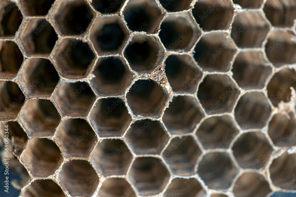 close up of honeycomb, nacka,sweden,sverige,stockholm,Mats close up of honeycomb, nacka,sweden,sverige,stockholm,Mats