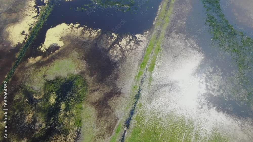 The flooded marshy area, with its wide expanse of water, and the sunlight reflected, is a magical sight. Aerial view The flooded marshy area, with its wide expanse of water, and the sunlight reflected, is a magical sight. Aerial view