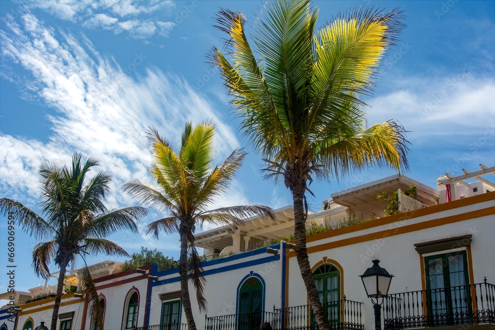 Houses and palm trees in the Spanish town of Puerto de Mogán
