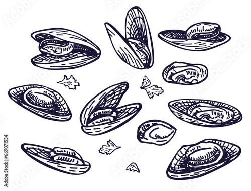 Mussels ink sketch. Seafood, a set of templates for menu design, packaging, restaurants and catering. Isolated on white background. Hand drawn vector illustration. Retro style.