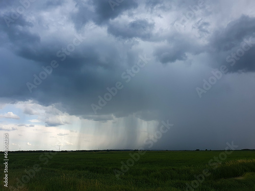 A beautiful thundercloud with rain hovered over a field of wheat. A terrible black cloud on the eve of a tornado and a natural disaster.