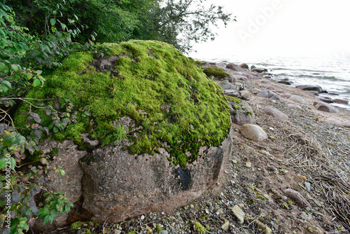 Mossy stone at the seaside of the baltic sea photo