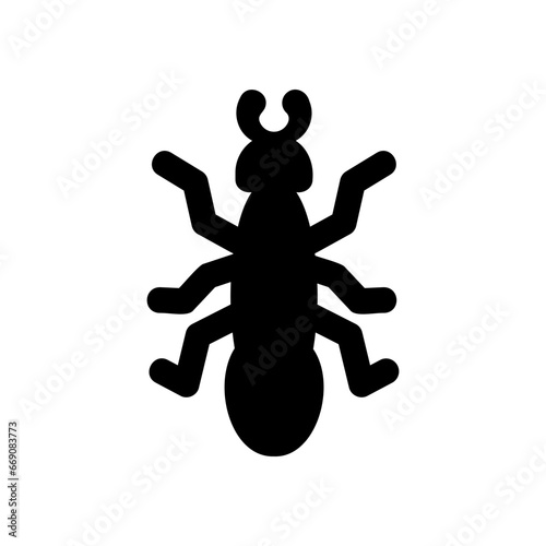 ant