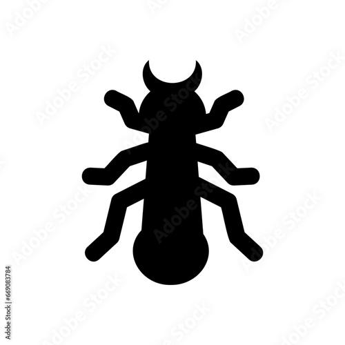 ant