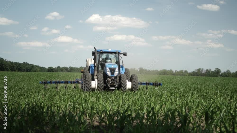 Tractor on the field of green corn fertilizing the crop