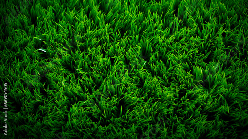 background image texture of green grass, simplicity and minimalism. Generative AI