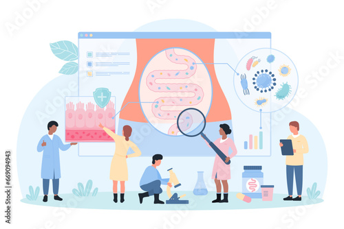 Gut microbiome research vector illustration. Cartoon tiny people with magnifying glass check health of digestive tract and intestinal barrier for microbiota on infographic diagram of colon structure