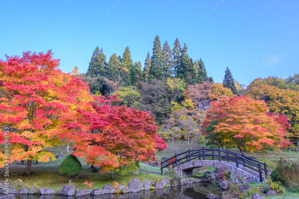 Obraz premium 中野ダム公園の紅葉
