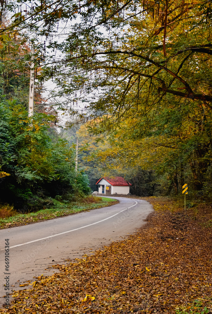 The path of the road in the heart of the autumn forest and the hut that is on the path, the leaves of the trees falling on the ground