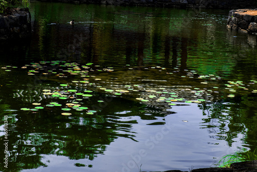 The Korean traditional beautiful garden.