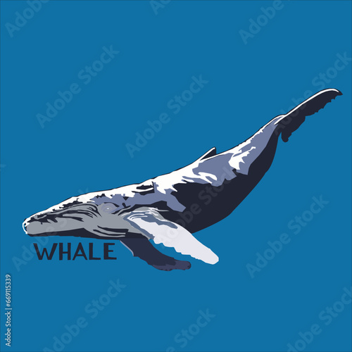 Whale vector illustration with lettering on blue background