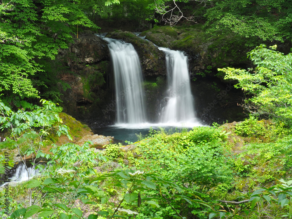 Naklejka premium 森の中の滝