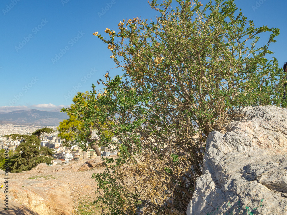 Athen in Griechenland