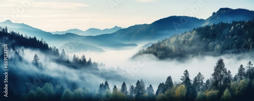 Fog conceals details of mountains with trees inviting greater sense of wonder with mystery. Misty shroud wrapped around rugged mountains and forest casting veil of secrecy over landscape. © Stavros