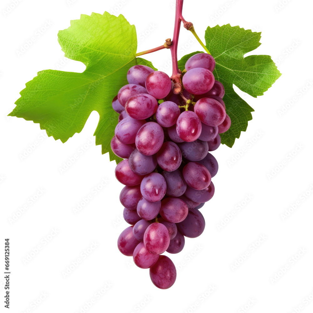 Fototapeta premium Grape Bunch
