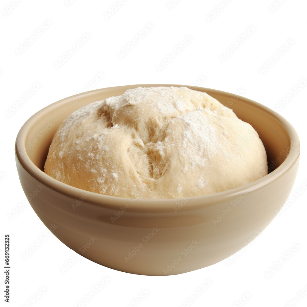 Risen Bread Dough with Flour Dusting