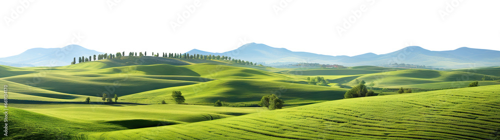 Tranquil countryside landscape with rolling hills and farm fields, cut out