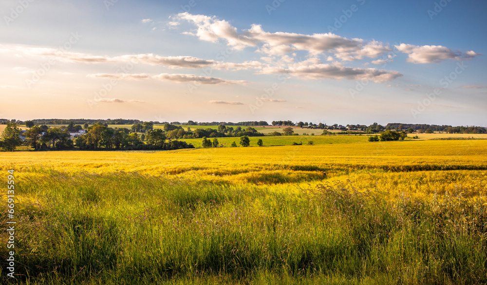 Paysage de campagne en France, champ de blé sous un ciel de fin d'été ...