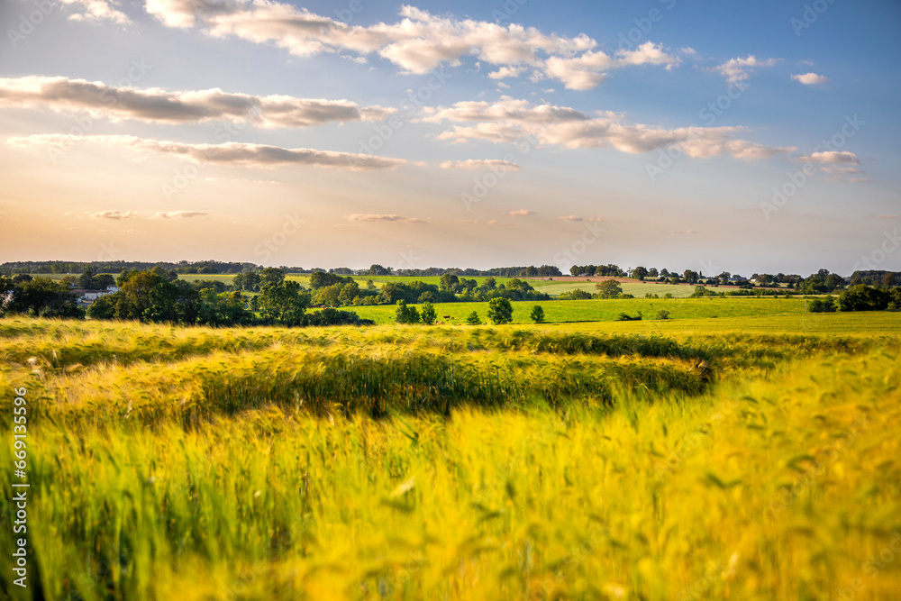 Fototapeta premium Paysage de campagne en France, champ de blé sous un ciel de fin d'été.