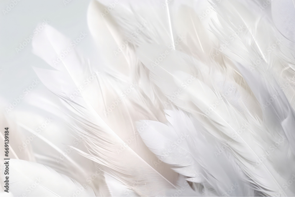 White feathers background. Soft textured natural wallpaper. White feathers background. Soft textured natural wallpaper.