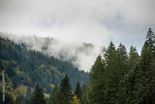 Fototapeta Naklejka Na Ścianę i Meble -  Nuages et brouillards sur la forêt des Vosges