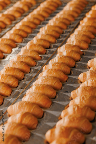 Bakery industry, closeup Fresh crispy mini french croissants in metal form