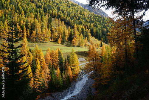 Parc Naziunal Svizzer autumn vibes in the swiss national park with orange yellow leaves and mountain paths, hiking in herfst photo