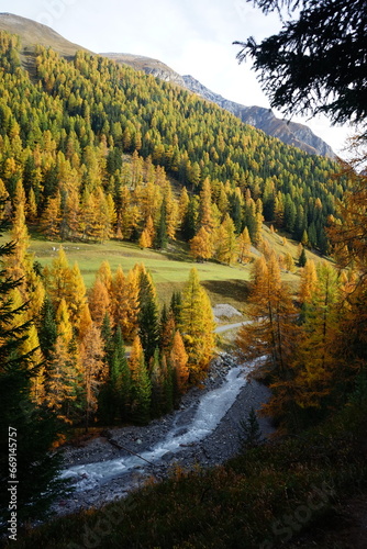 Parc Naziunal Svizzer, river flowing through the swiss national park in autumn, fall colours, river,