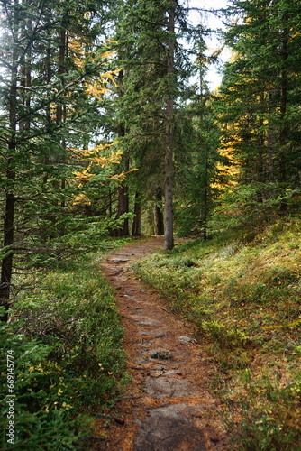 path in autumn forest Parc Naziunal Svizzer