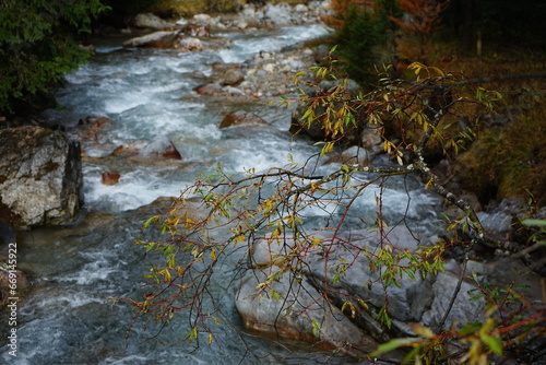 stream in the forest Parc Naziunal Svizzer photo