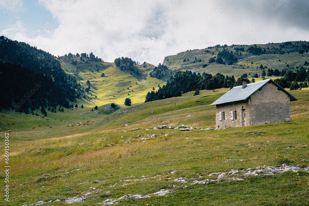 Sheepfold in the alpine pastures of Vallon de Combeau near Chatillon en Diois in the south of France (Drome).