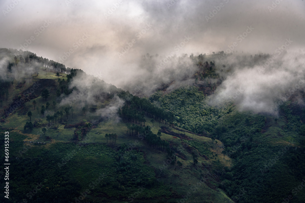 fog in the mountains after a storm (Amatole mountains, Hogsback, South Africa)