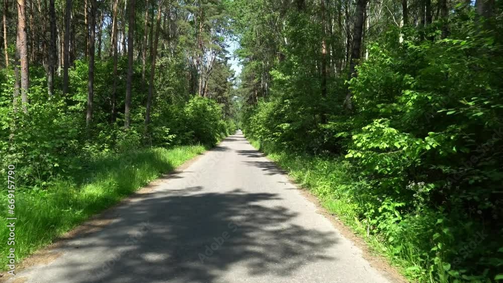An empty highway passes through a dense green forest. A new asphalt road in the countryside forest. The effect of the camera moving over the road. An empty highway passes through a dense green forest. A new asphalt road in the countryside forest. The effect of the camera moving over the road.