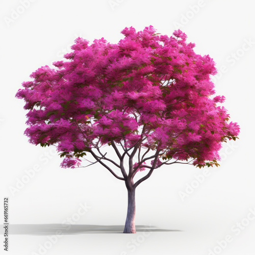abstract pink or purple tree isolated on white background © PaulShlykov